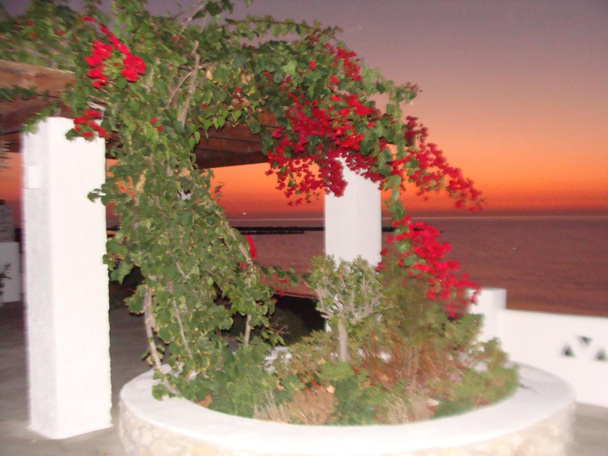 Appartement Παραθιν Αλοσ 2 à Skyros Extérieur photo